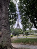 Un arbre de fer dans les jardins